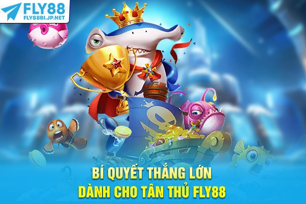 Bí quyết thắng lớn dành cho tân thủ FLY88