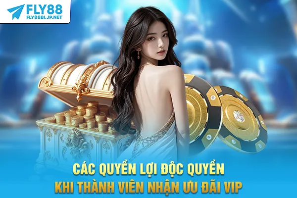 Các quyền lợi độc quyền khi thành viên nhận ưu đãi VIP