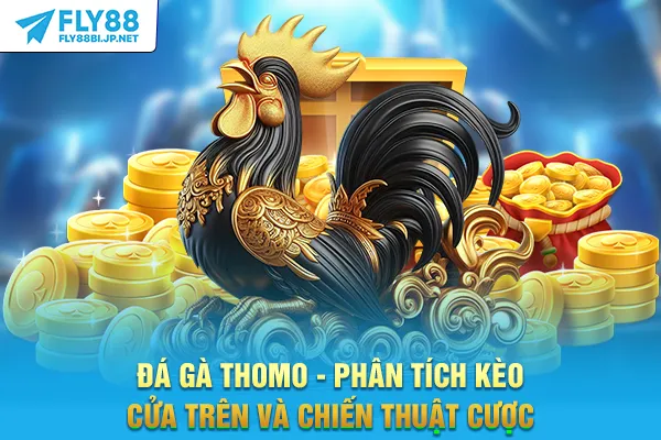 Đá Gà Thomo - Phân Tích Kèo Cửa Trên Và Chiến Thuật Cược