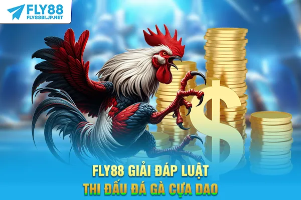 FLY88 giải đáp luật thi đấu đá gà cựa dao