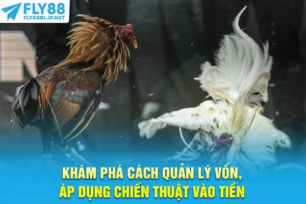 Khám phá cách quản lý vốn, áp dụng chiến thuật vào tiền