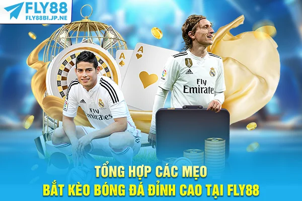 Tổng Hợp Các Mẹo Bắt Kèo Bóng Đá Đỉnh Cao Tại Fly88